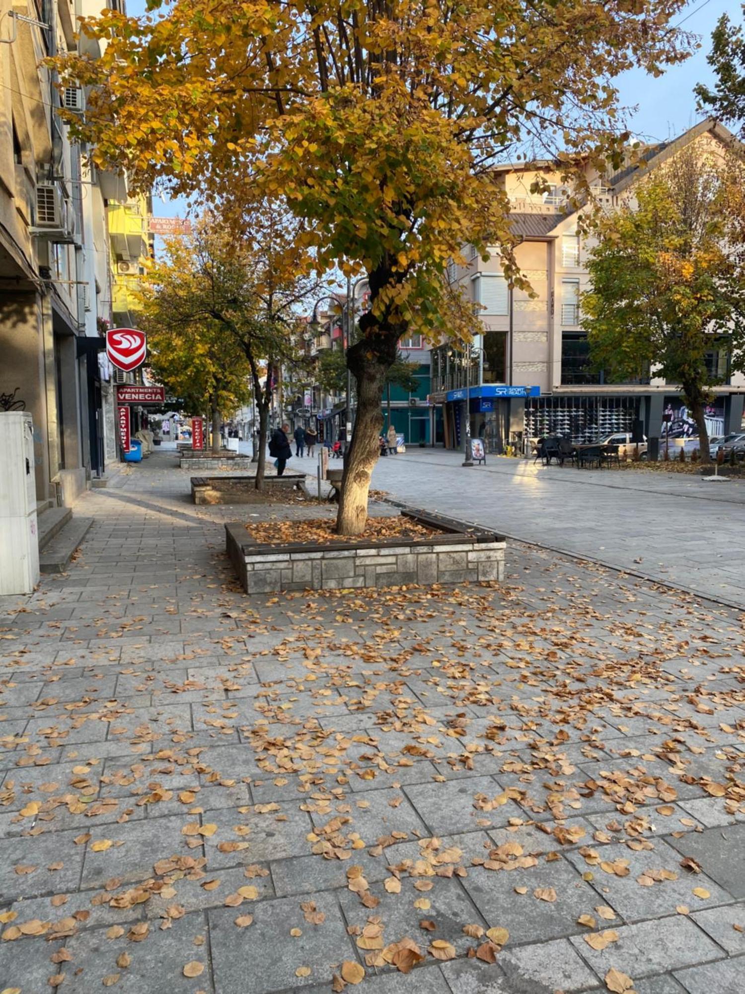 Hotel Venecia Apartments Struga Dış mekan fotoğraf